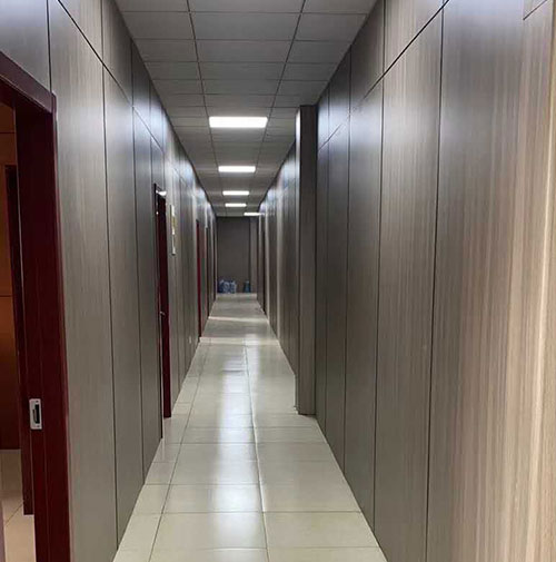 Hongze Lake Medical and Nursing Integration Project